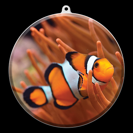 aquarium