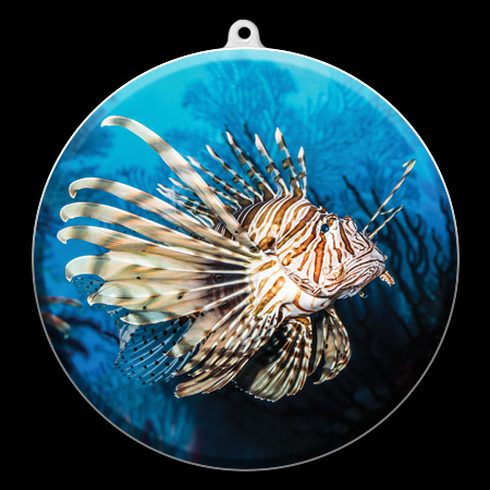 aquarium