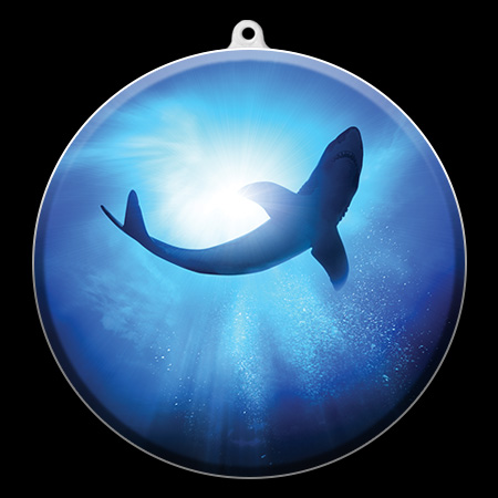 aquarium