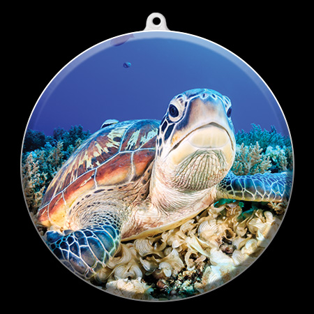 aquarium