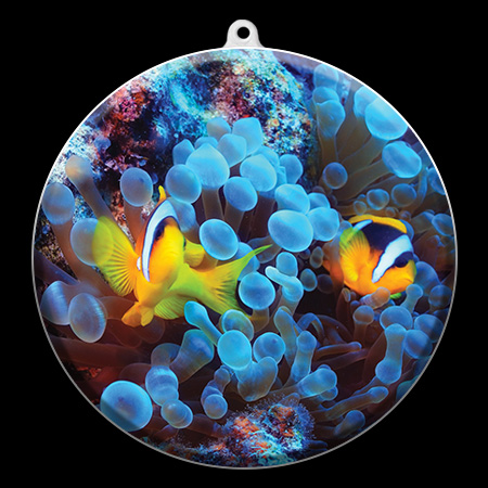 aquarium