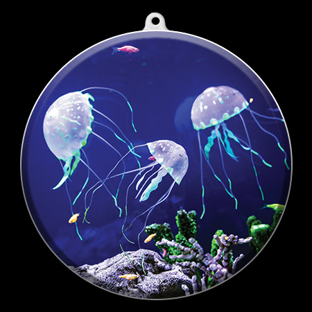 aquarium