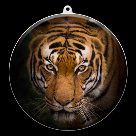 zoo