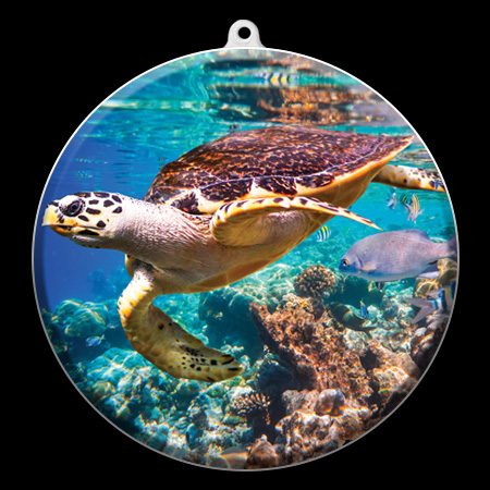 The “Aquarium” Suncatcher Collection