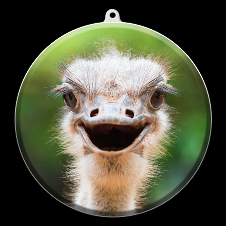 The “Zoo” Suncatcher Collection